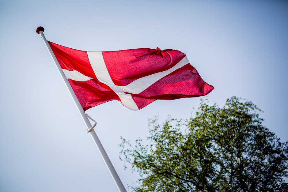 Flagets betydning og anvendelse i Danmark